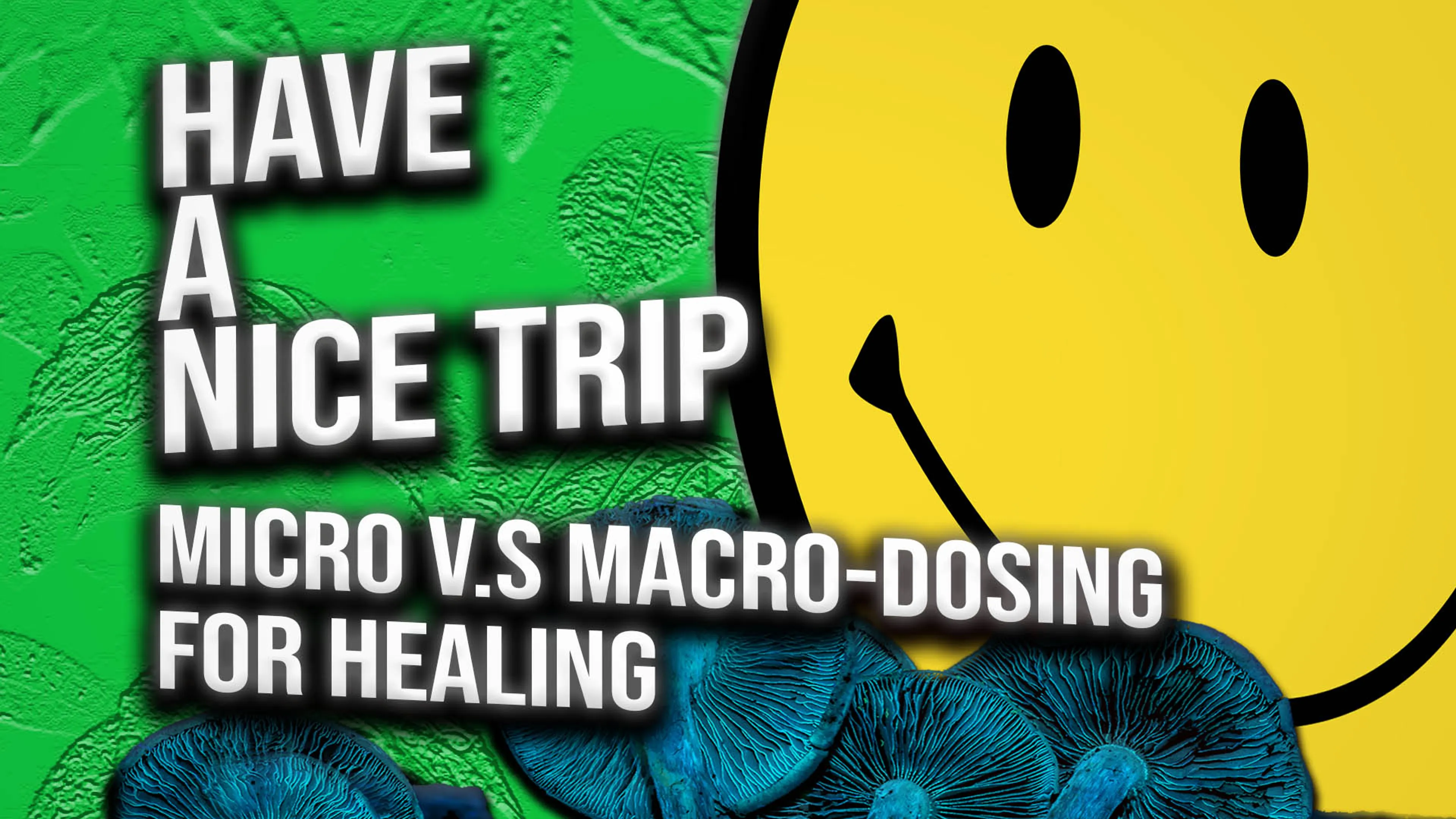 Have a Nice Trip: Micro v.s Macro Dosing for Healing poster